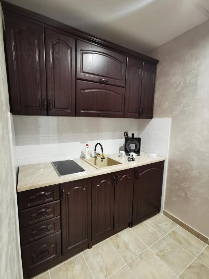 נובי סאד Panorama Apartman מראה חיצוני תמונה